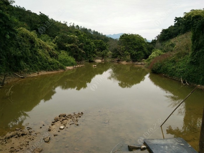 太石河乡天气预报更新通知