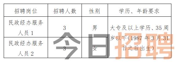 洋县计划生育委员会最新招聘信息解读与招聘启事