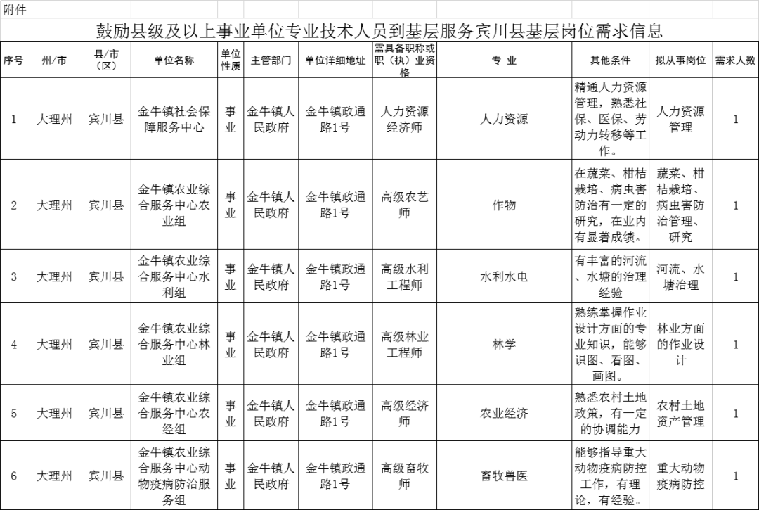 宾川县科技局最新招聘信息全面解析