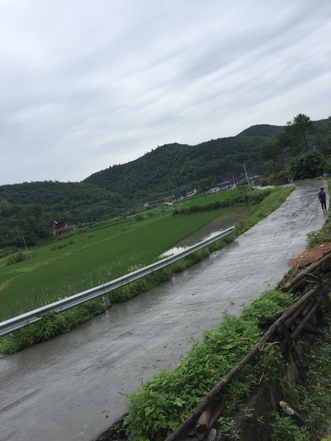 马贵镇天气预报更新通知