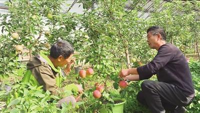 根河市农业农村局最新发展规划概览