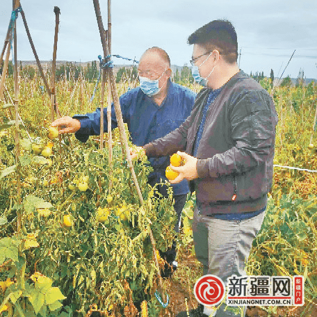 蒿沟村民委员会领导团队全新亮相，未来展望与发展路径