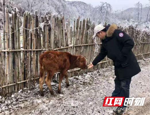 云顶村领导引领村庄迈向新辉煌