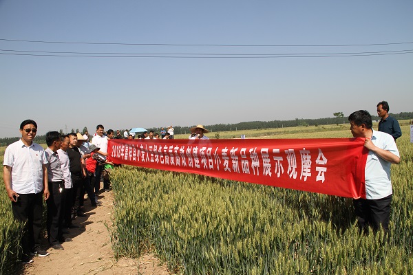 右玉县农业农村局新项目推动农业现代化，乡村振兴再添动力