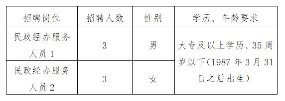 乃东县人民政府办公室最新招聘公告解读