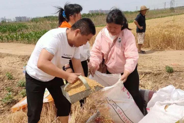 十里铺村民委员会天气预报更新通知