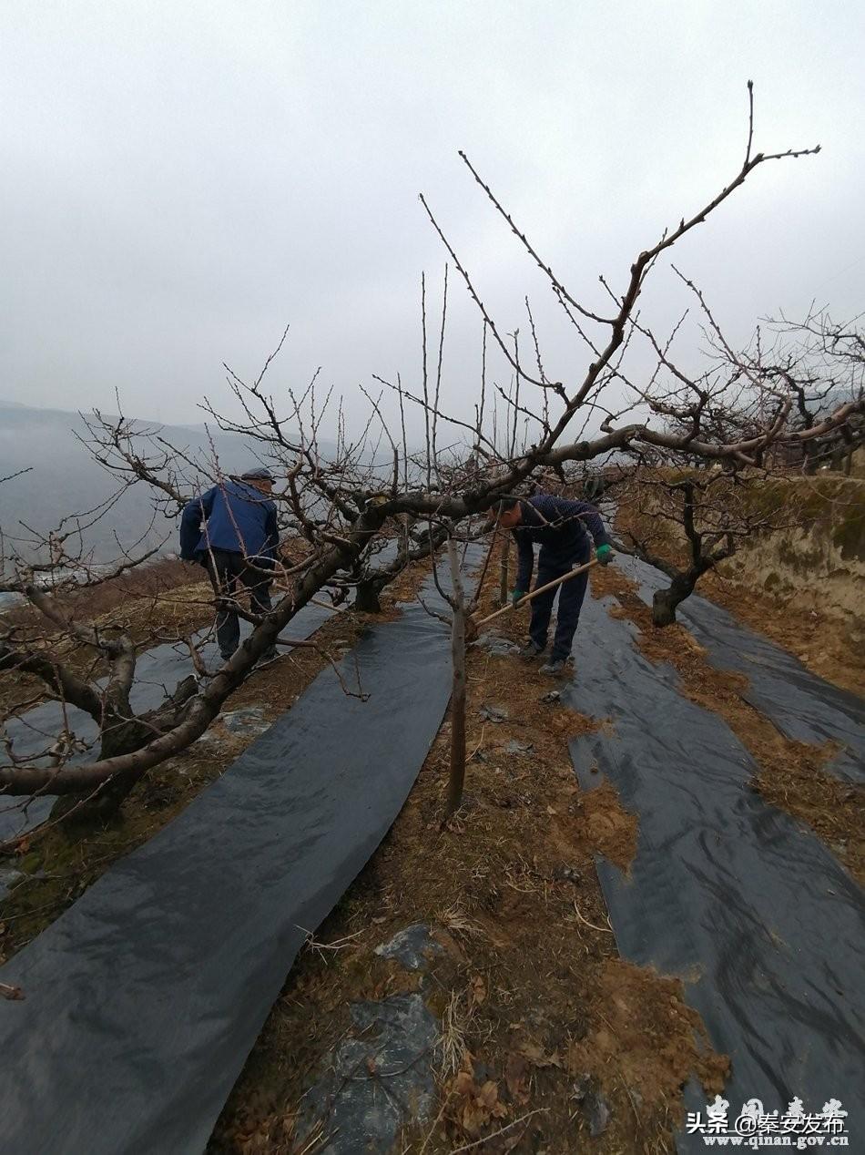 秦安县市场监管现代化项目助力地方经济高质量发展