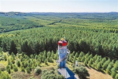 顺利河林场交通新闻，道路升级与设施完善引领地方发展新篇章