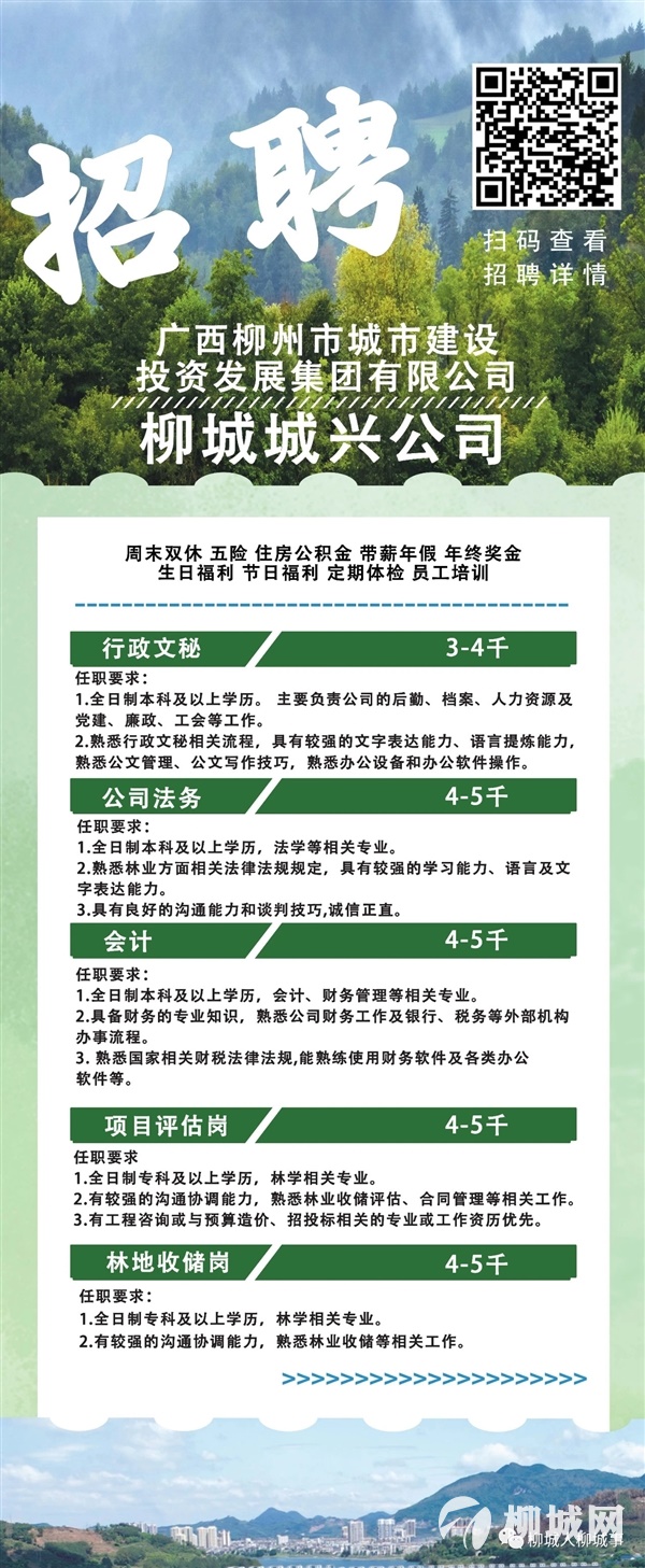 绥棱林业局最新招聘公告概览